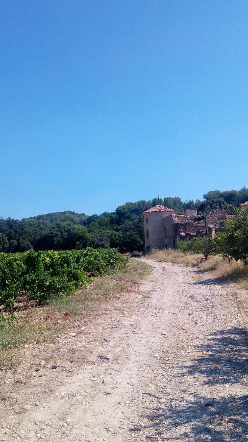 Les Cigales Bed & Breakfast Villelaure Екстериор снимка