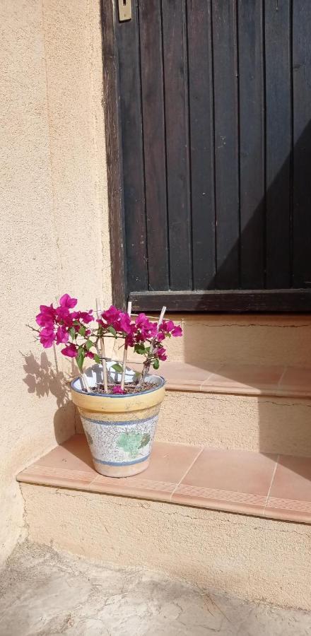 Les Cigales Bed & Breakfast Villelaure Екстериор снимка